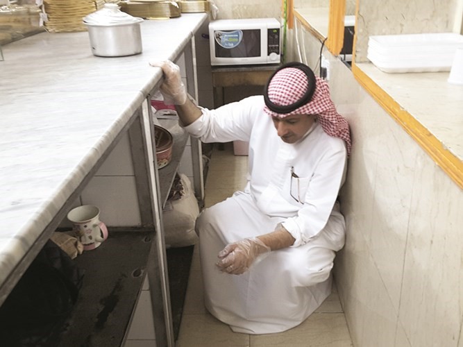 تفتيش على المواد الغذائية