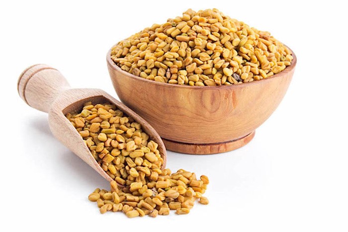 الحلبة