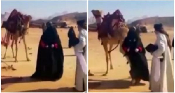 بالفيديو.. جمل أزعجه صراخ هذه الممثلة فركلها لتصمت!