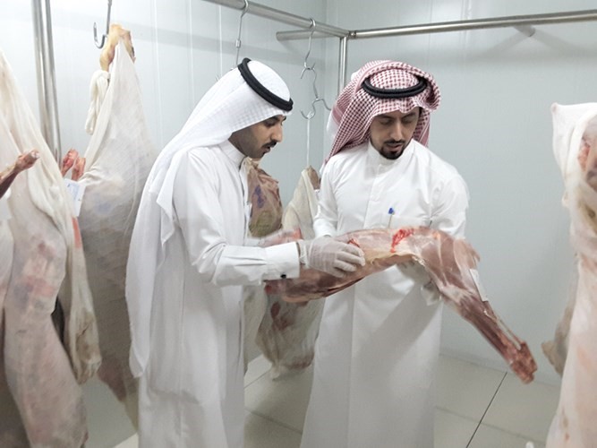 فحص ظاهري للحوم ﻿