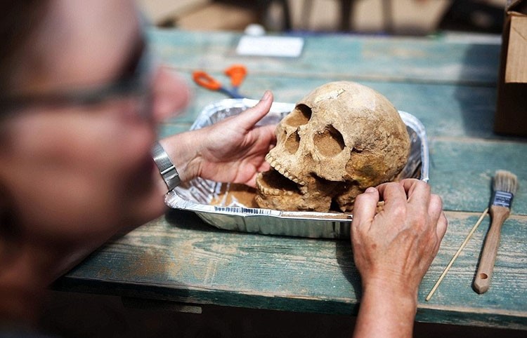 بالصور.. آثار جديدة تفك لغز أحد أسرار الكتاب المقدس