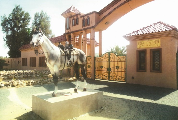 مدخل مزرعة الفضالة في الوفرة