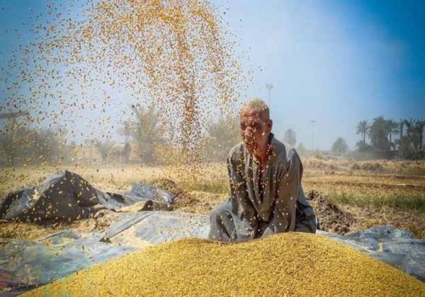 صورة تعبيريةموقع الندى نيوز