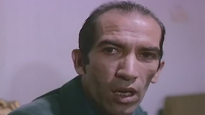 نجاح-الموجي