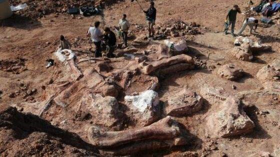 علماء يكتشفون حفرية جديدة لديناصور في الأرجنتين