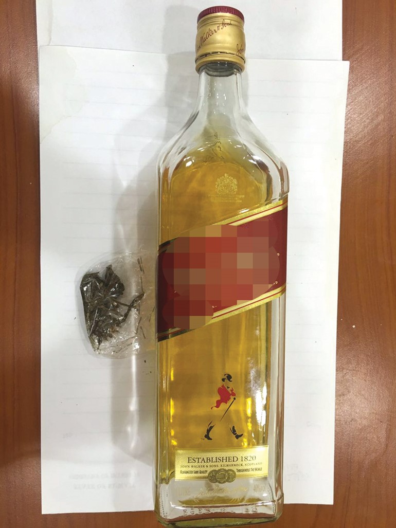 المضبوطات﻿