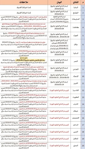 الهويدي: «الهيئة» صرفت رواتب الاحتراف الجزئي لـ «الرماية» و«البولينغ»
