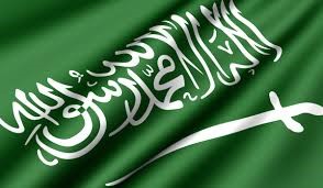 هيئة كبار العلماء السعودية: استخدام لعبة بوكيمون خيانة  للوطن