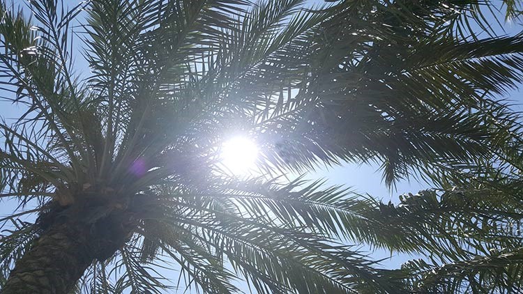  "الأرصاد الجوية": طقس اليوم الثلاثاء حار ورطب 