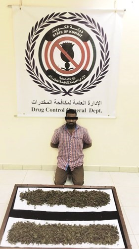 الوافد وامامه الماريغوانا