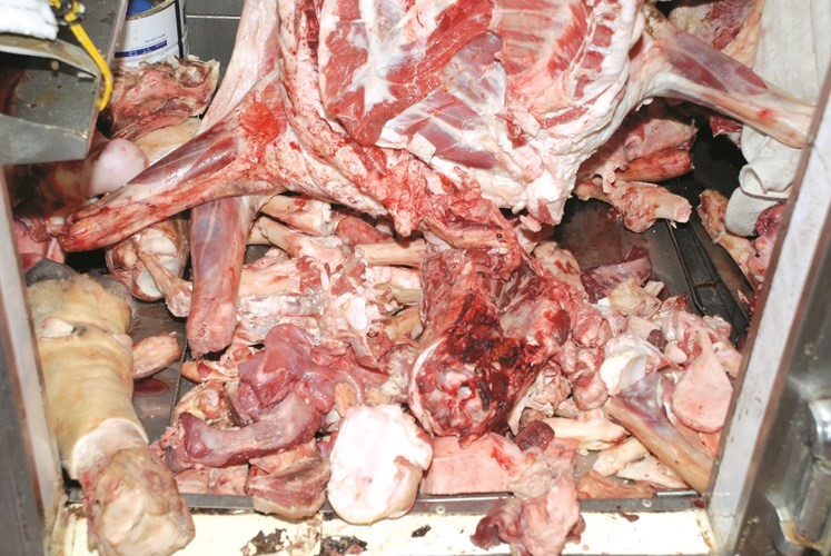 صورة ارشيفية للحوم فاسدة 