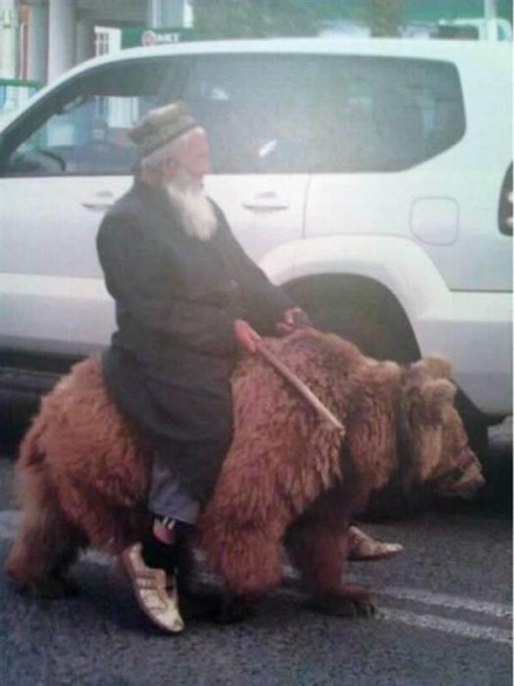 رجل يركب دبا في احد شوارع الصين