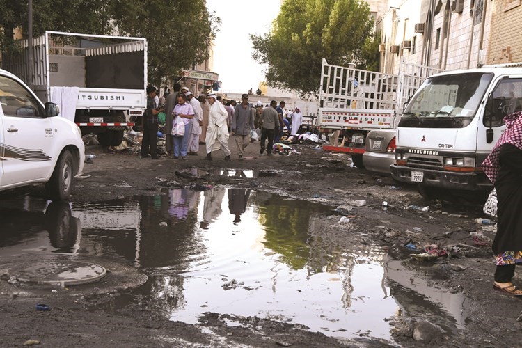 جليب الشيوخ.. نشاطات غير قانونية ومستنقع للأعمال المنافية