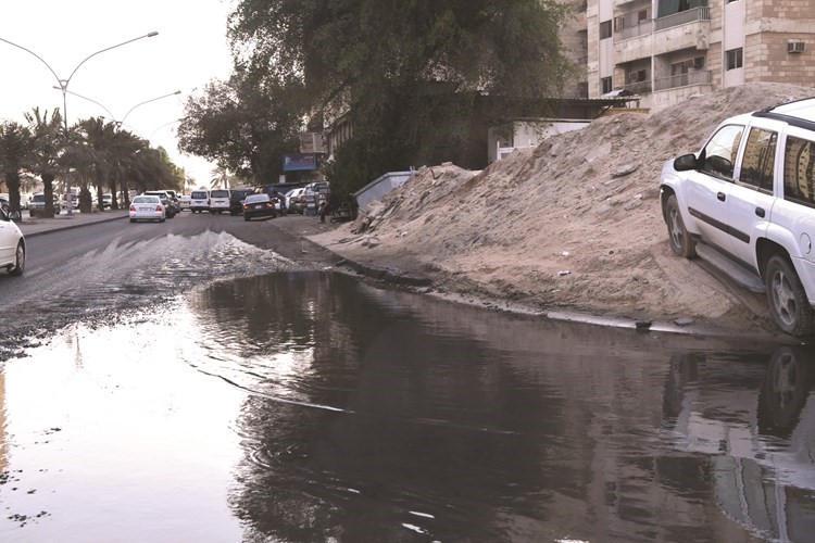 جليب الشيوخ.. نشاطات غير قانونية ومستنقع للأعمال المنافية