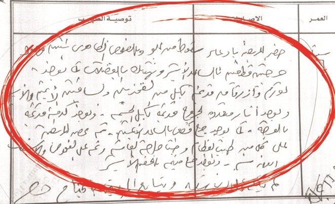 صورة زنكوغرافية عن التقرير الخاص بالطفل﻿