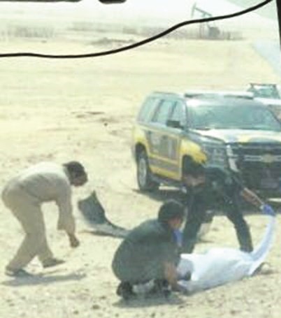 رجال الادلة الجنائية اثناء نقل الجثة﻿