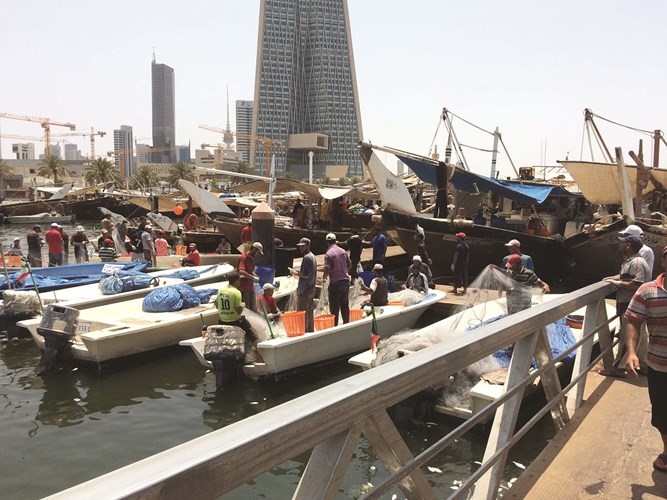 لنچات كويتية بنقعة الشملان 