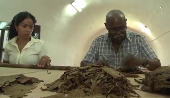 بالفيديو.. كوبي يسعى لصناعة سيجار بطول 100 متر