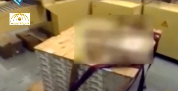 بالفيديو .. قناة إيرانية تنشر فيديو لأموال أرسلتها أمريكا سراً لطهران