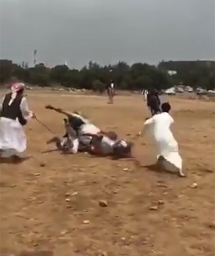 بالفيديو.. لحظة سقوط حصان على شاب
