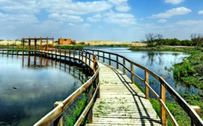 منظر عام لواحة الازرق