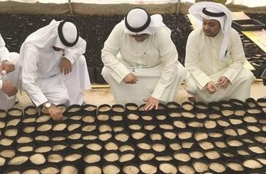الحجرف يتفقد الشتلات