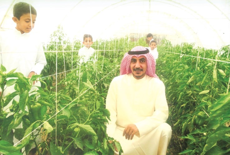 المزارع طلال وسط شبرة للفلفل البارد في الوفرة
﻿