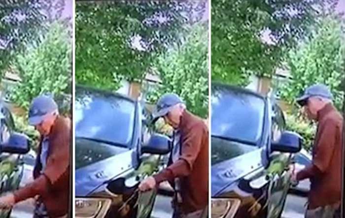 بالفيديو..مسنّ بريطاني يتلف طلاء سيارة أودي والسبب مجهول