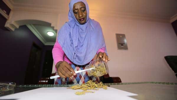قصة سودانية حققت ثروة بـ"تجارة العقارب" وأثارت جدلاً عبر "السوشيال ميديا"