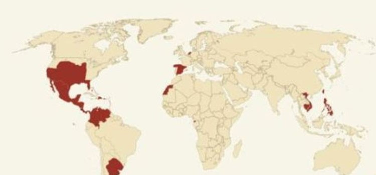 

الامبراطورية الاسبانية 1492 - 1975 اوج قوتها العام 1500 المساحة 19،300،000 كيلومتر عدد السكان 68 مليونا ابرز الحكام فيليب الثاني ملك اسبانيا مولت الامبراطورية الاسبانية بعثات كريستوفر كولومبس في العام 1492، الذي وصل الى الامريكتين
