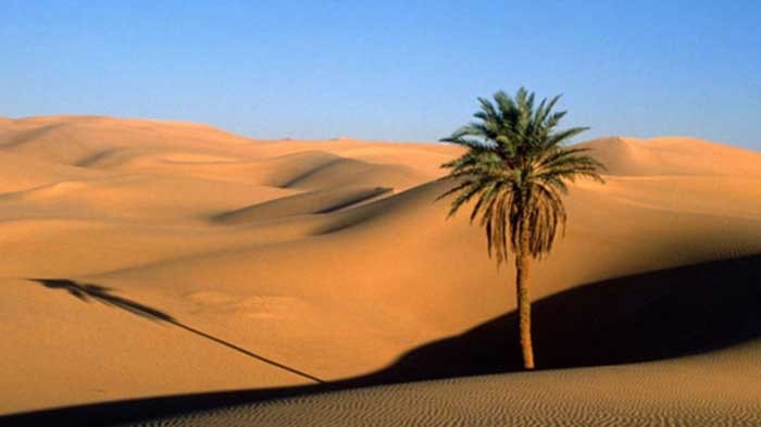 اكتشاف أقدم عظم بشري بالسعودية.. عمره 90 ألف سنة!