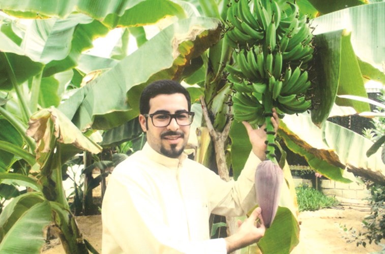 البداح: أرضنا «بركة» تجود بخيرات عديدة من الفاكهة والخضار