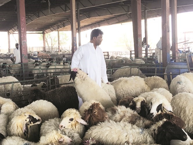 زيادة المعروض ربما تخفض الاسعار﻿