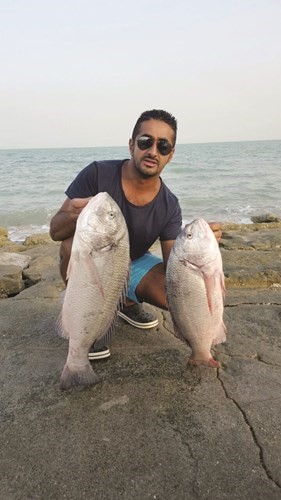 القضيبي: خارور الماي الأنسب لصيد السبيطي
