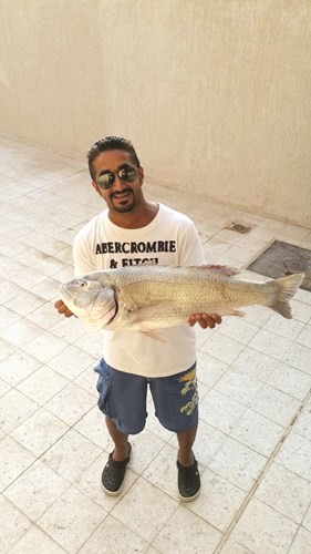 القضيبي: خارور الماي الأنسب لصيد السبيطي