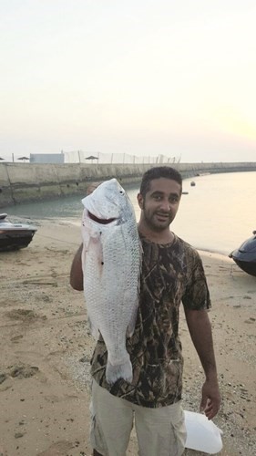 القضيبي: خارور الماي الأنسب لصيد السبيطي