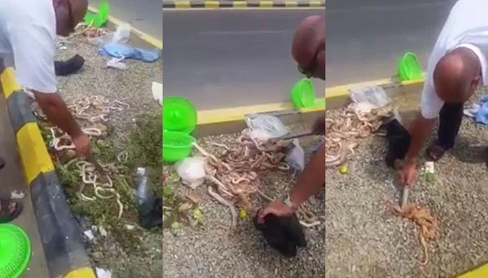فيديو صادم ..شاهد ماذا وجدوا داخل حقيبة حاج مصري قادم عن طريق ميناء ضباء!