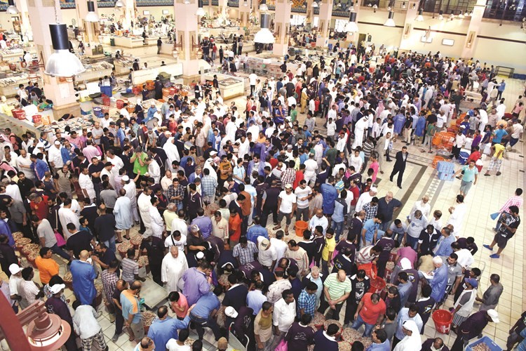 اقبال على متابعة المزاد في اول يوم لصيد الروبيان المحليريليش كومار﻿