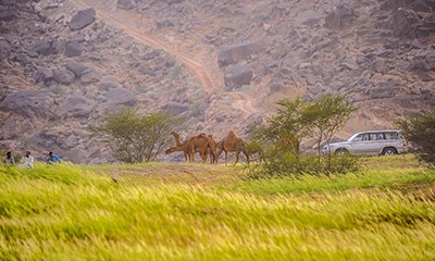 منتزه الابوعة السياحي بمحافظة تنومة