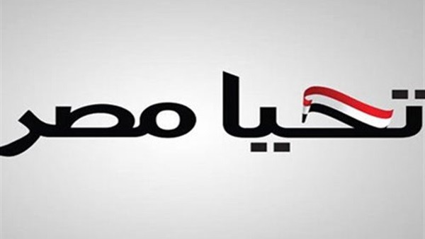 4 نواب فقط تبرعوا بمستحقاتهم لصندوق «تحيا مصر»