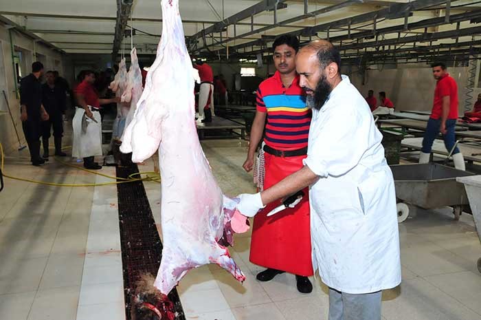 مسلخ الفروانية جاهز للعمل خلال ايام عيد الاضحى المبارك