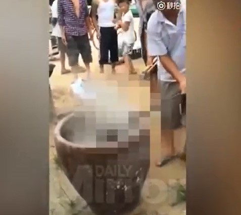 بالفيديو.. لقطات مروعة لسلق كلب على قيد الحياة في ماء مغلي