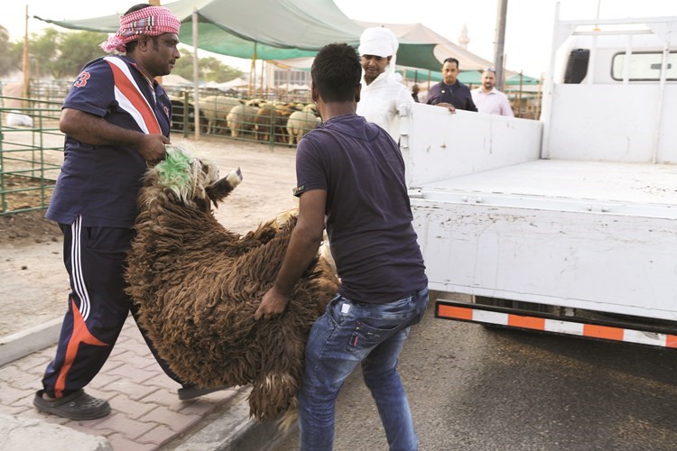  وتمت الصفقة ﻿