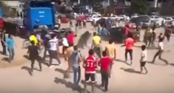 بالفيديو.. العشرات يفشلون في السيطرة على عِجل هائج ببورسعيد