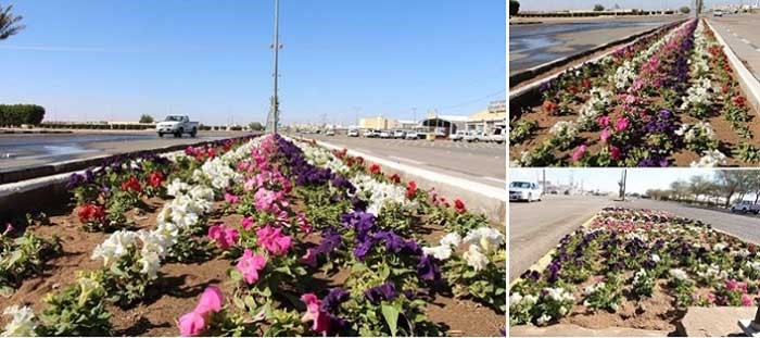 جدل عن "أشجار" ظهرت كما القذائف بشوارع مدينة سعودية