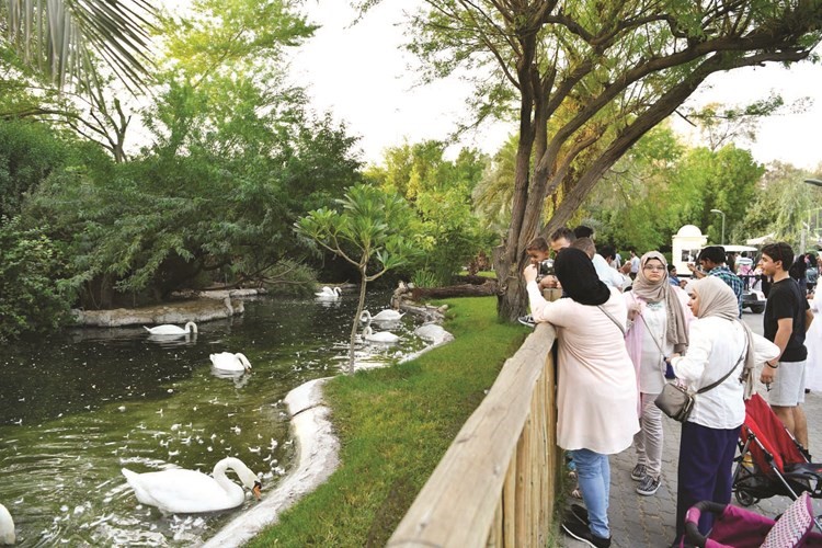 زوار الحديقة يلتقطون الصور للطيور المائية﻿