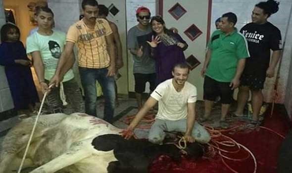 بالصور.. هكذا احتفل فنانو مصر بذبح خروف العيد