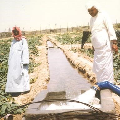 الماء عصب الزراعة وعمودها الفقري في كل زمان ومكان
﻿