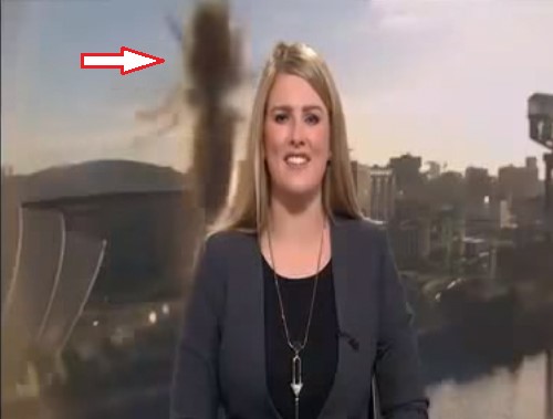 بالفيديو .. شاهد كيف تعرضت مذيعة BBC لموقف محرج على الهواء !
