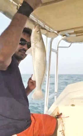 الطبيخ: الحين بَيّن النقرور والنويبي بالركسة وحداقهم بالوقفة
